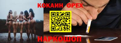 гашик Малоярославец